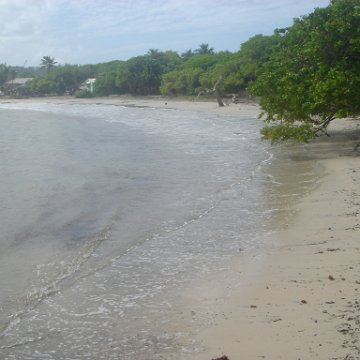 2005dec-stlucia1_063