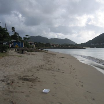 stluciadonkeyandnonamebeach_085