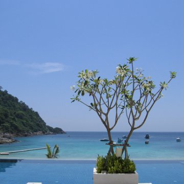 pool_and_frangipani_best_2 pool_and_frangipani_best_2
