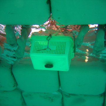 img_0688 img_0688