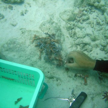 img_0690 img_0690