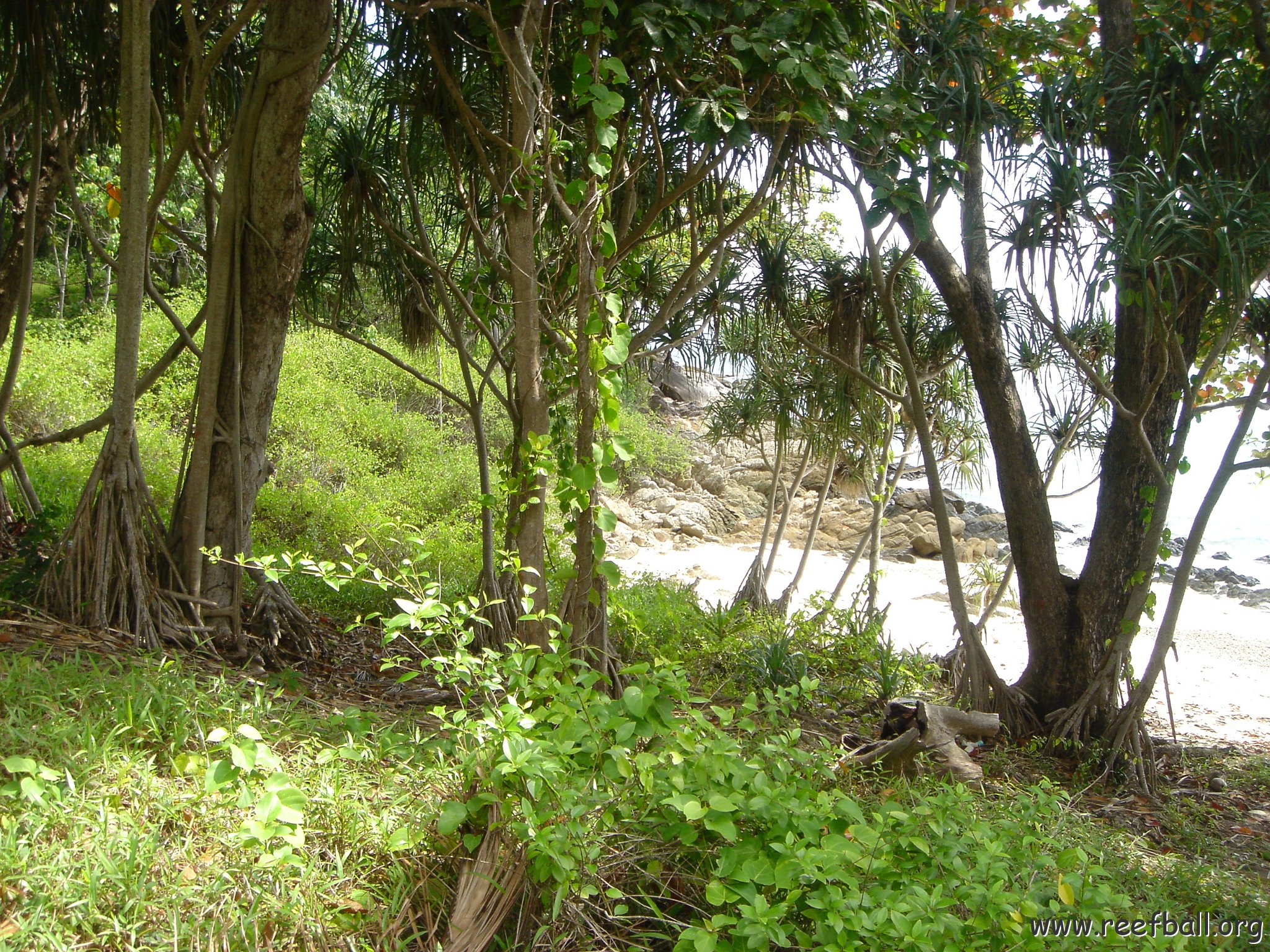 2005oct13racha01_(43)