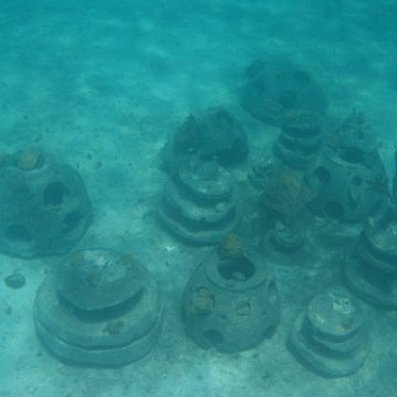 IMG_0310 IMG_0310