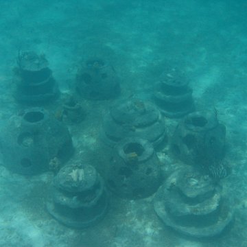 IMG_0311 IMG_0311