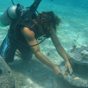 IMG_0312 IMG_0312