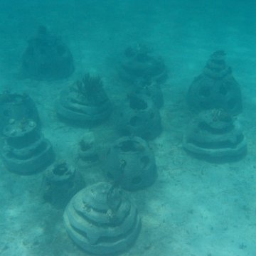 IMG_0313 IMG_0313