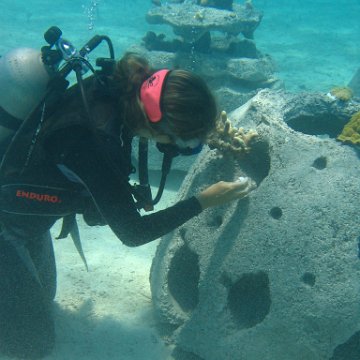 IMG_0314 IMG_0314
