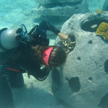 IMG_0315 IMG_0315