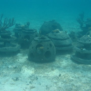 IMG_0316 IMG_0316