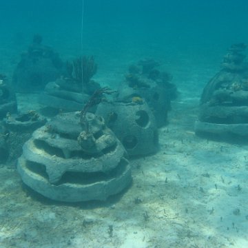 IMG_0318 IMG_0318