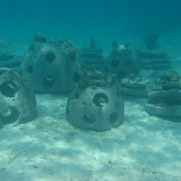 IMG_0319 IMG_0319