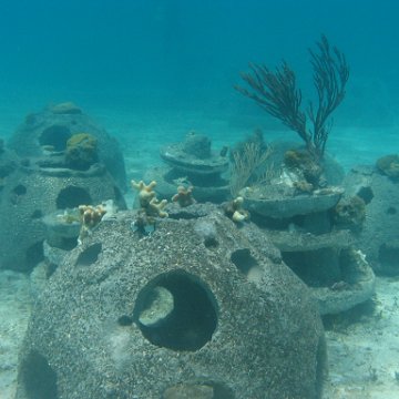 IMG_0320 IMG_0320