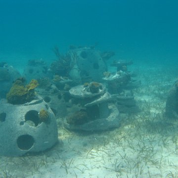IMG_0322 IMG_0322