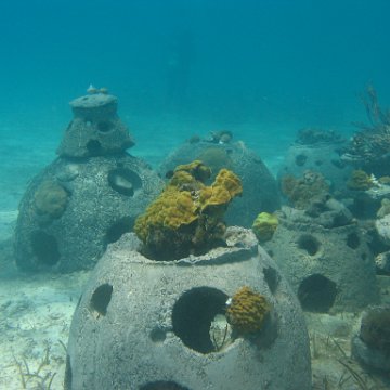IMG_0323 IMG_0323
