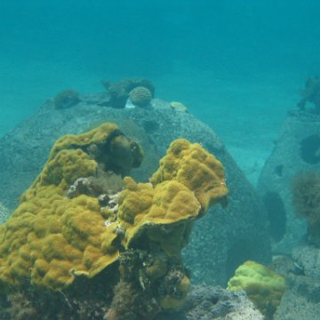 IMG_0324 IMG_0324