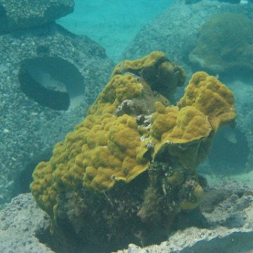 IMG_0325 IMG_0325