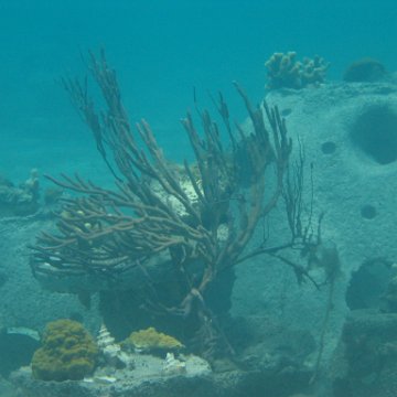 IMG_0326 IMG_0326