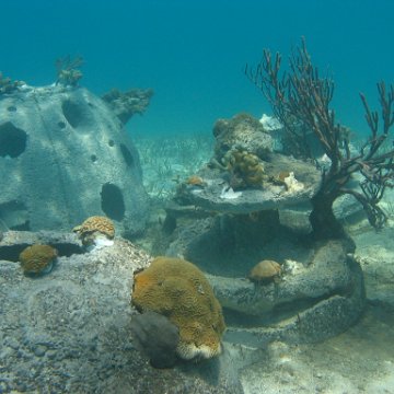 IMG_0327 IMG_0327