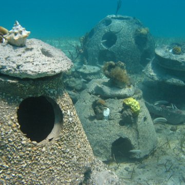 IMG_0328 IMG_0328