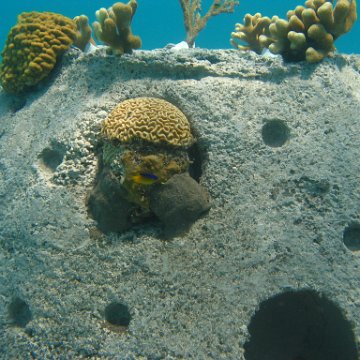 IMG_0329 IMG_0329