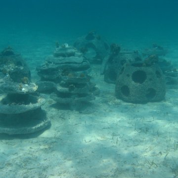 IMG_0330 IMG_0330