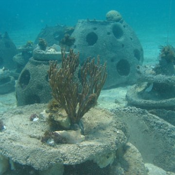 IMG_0331 IMG_0331