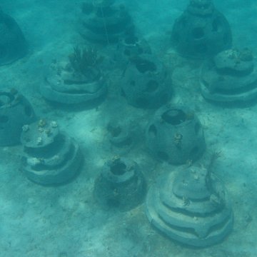 IMG_0334 IMG_0334