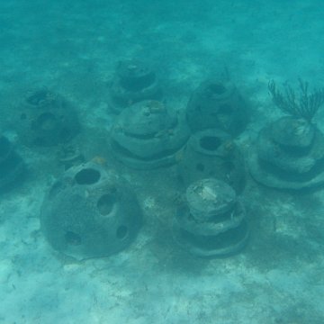 IMG_0335 IMG_0335