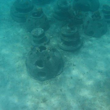 IMG_0336 IMG_0336