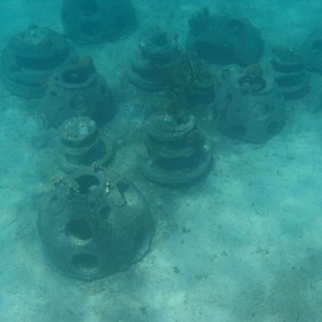 IMG_0337 IMG_0337