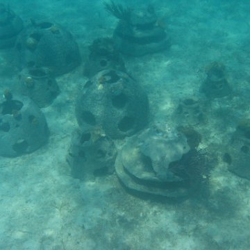 IMG_0338 IMG_0338
