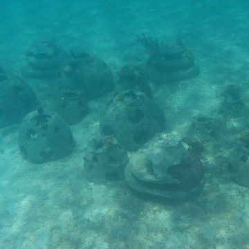 IMG_0339 IMG_0339