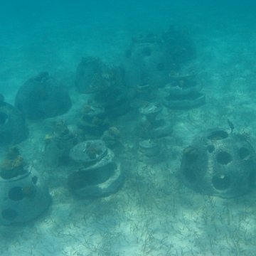 IMG_0340 IMG_0340