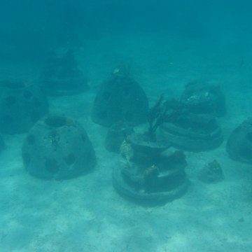 IMG_0341 IMG_0341