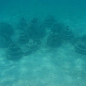 IMG_0342 IMG_0342