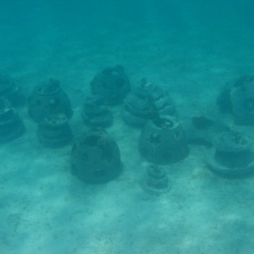 IMG_0343 IMG_0343