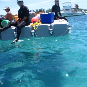 IMG_0346 IMG_0346