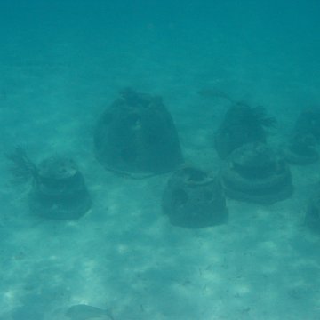 IMG_0348 IMG_0348