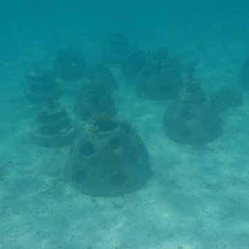 IMG_0349 IMG_0349