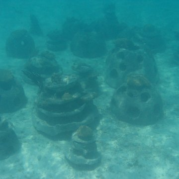 IMG_0350 IMG_0350