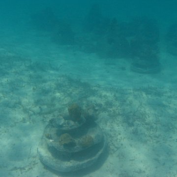 IMG_0351 IMG_0351