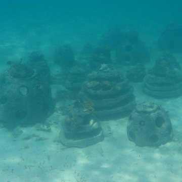 IMG_0353 IMG_0353