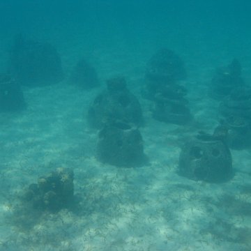 IMG_0354 IMG_0354
