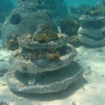 IMG_0355 IMG_0355