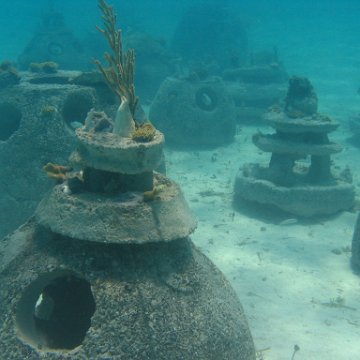 IMG_0358 IMG_0358