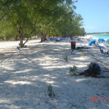 Beaches2007Feb24-13 Beaches2007Feb24-13