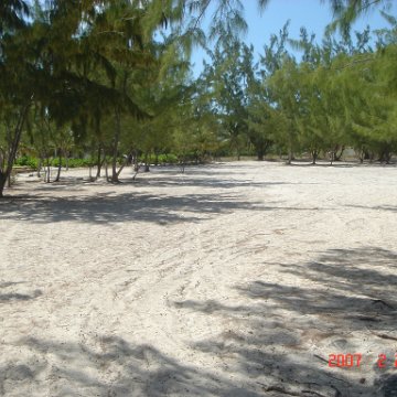 Beaches2007Feb24-14 Beaches2007Feb24-14