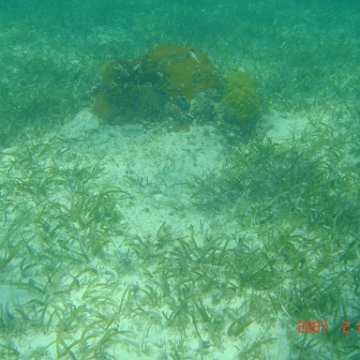 Beaches2007Feb24-33 Beaches2007Feb24-33