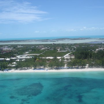 Beaches Resort Turks and Caicos Reef Ball / Coral Planting Project