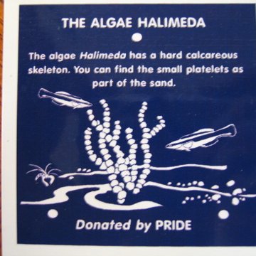 snorkeltrailsigns 001 snorkeltrailsigns 001